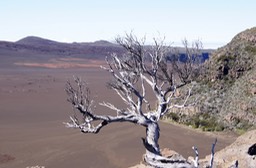 Pas des Sables- Paysage