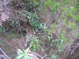IMG_0617