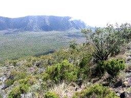 Vue sur la tamarinaie 614