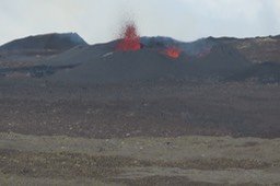 IMG_4920