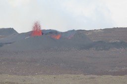 IMG_4921