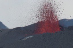 IMG_4923