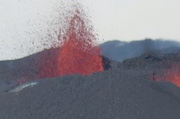 IMG_4924