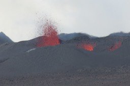 IMG_4927