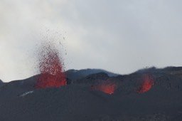 IMG_4928