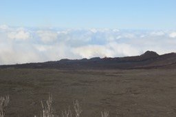 IMG_4930