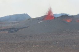 IMG_4934