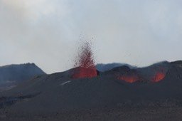 IMG_4935