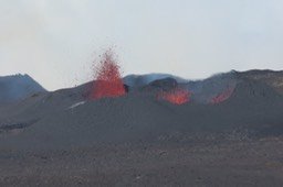 IMG_4936