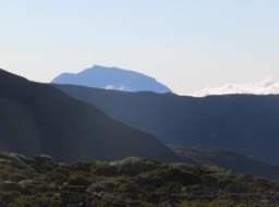 IMG_4938