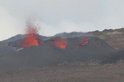 IMG_4941