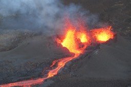IMG_4946