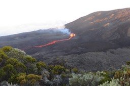 IMG_4948