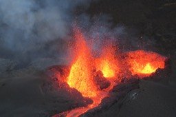 IMG_4949