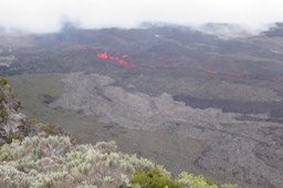 IMG_4953