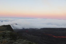 IMG_4954