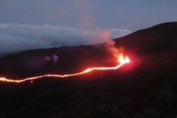 IMG_4956