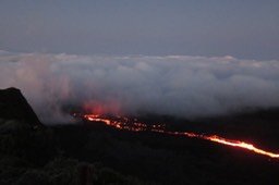 IMG_4957