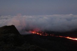 IMG_4958