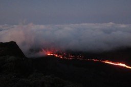 IMG_4960
