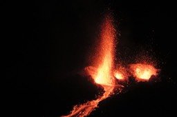 IMG_4961