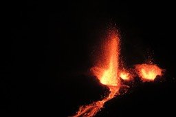IMG_4962