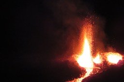IMG_4963