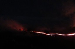 IMG_4969