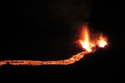 IMG_4970