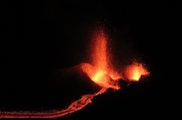IMG_4973