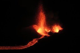 IMG_4975
