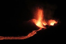 IMG_4976