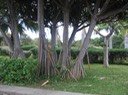 IMG 0035