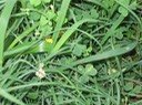 IMG 0037