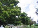 IMG 0039