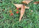 IMG 0043