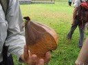 IMG 0045