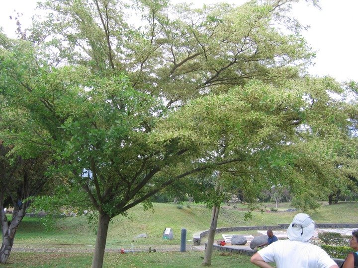 IMG 0046