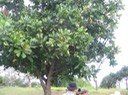 IMG 0049